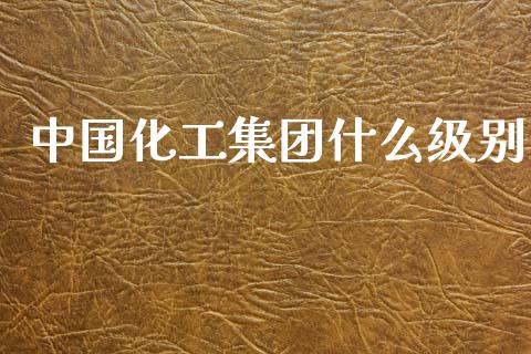 中国化工集团什么级别_https://wap.fcdydaikuan.com_新股数据_第1张