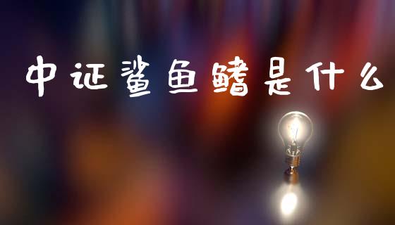 中证鲨鱼鳍是什么_https://wap.fcdydaikuan.com_期货品种_第1张