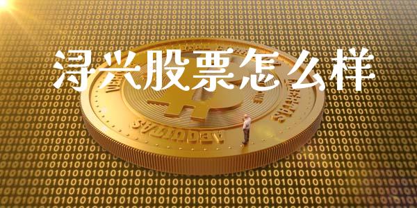 浔兴股票怎么样_https://wap.fcdydaikuan.com_期货品种_第1张