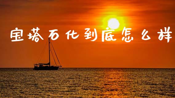 宝塔石化到底怎么样_https://wap.fcdydaikuan.com_理财顾问_第1张