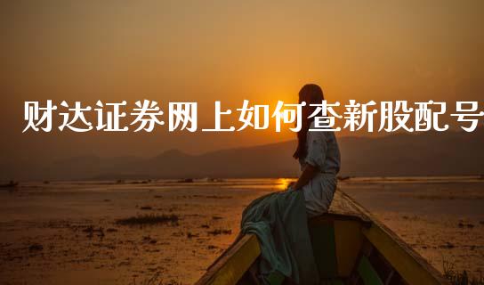 财达证券网上如何查新股配号_https://wap.fcdydaikuan.com_国际投资_第1张