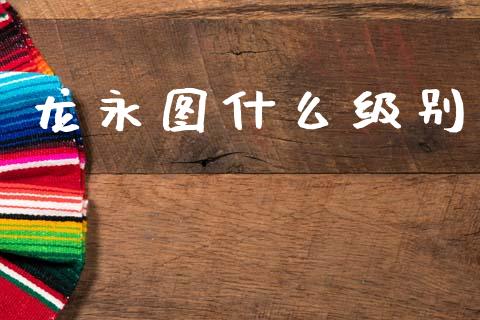 龙永图什么级别_https://wap.fcdydaikuan.com_国际投资_第1张