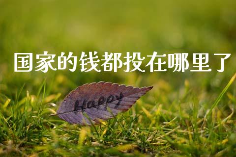 国家的钱都投在哪里了_https://wap.fcdydaikuan.com_国际投资_第1张