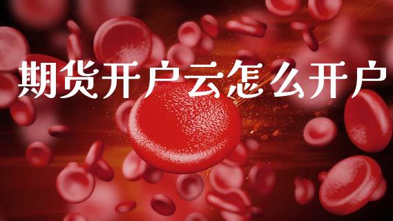 期货开户云怎么开户_https://wap.fcdydaikuan.com_国际投资_第1张