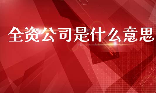 全资公司是什么意思_https://wap.fcdydaikuan.com_投资策略_第1张