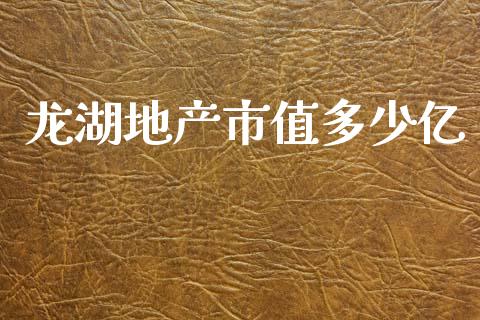 龙湖地产市值多少亿_https://wap.fcdydaikuan.com_期货品种_第1张
