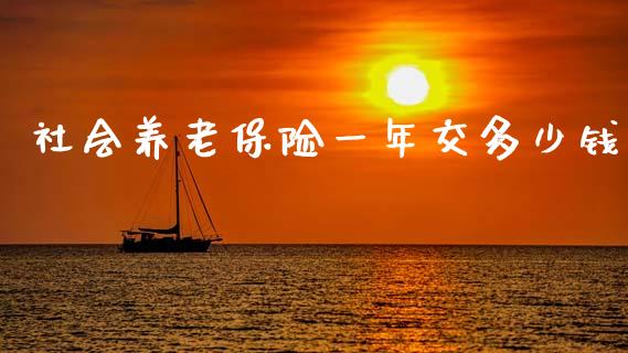 社会养老保险一年交多少钱_https://wap.fcdydaikuan.com_期货品种_第1张