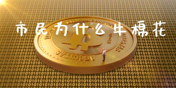 市民为什么牛棉花_https://wap.fcdydaikuan.com_投资策略_第1张