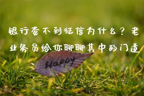银行查不到征信为什么？老业务员给你聊聊其中的门道_https://wap.fcdydaikuan.com_理财顾问_第1张