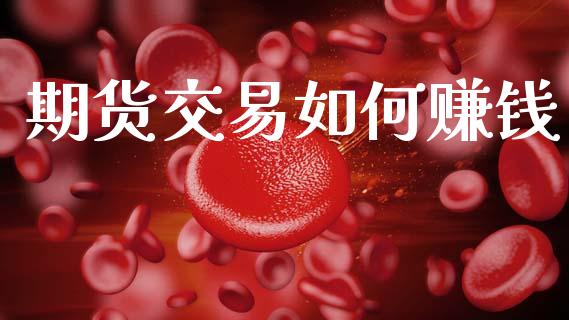 期货交易如何赚钱_https://wap.fcdydaikuan.com_国际投资_第1张