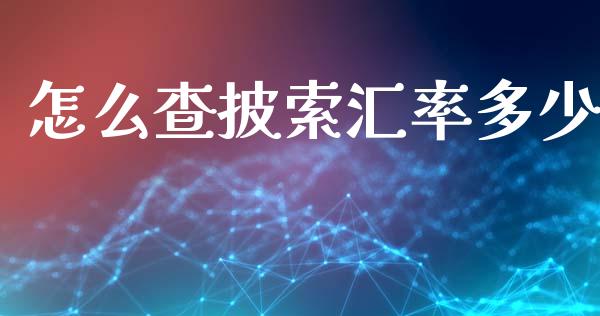 怎么查披索汇率多少_https://wap.fcdydaikuan.com_投资策略_第1张