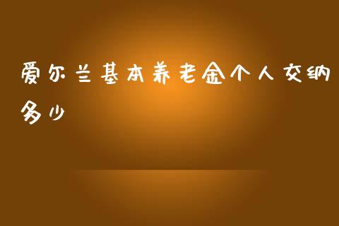 爱尔兰基本养老金个人交纳多少_https://wap.fcdydaikuan.com_金融机构_第1张