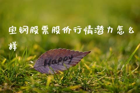 宝钢股票股价行情潜力怎么样_https://wap.fcdydaikuan.com_期货品种_第1张