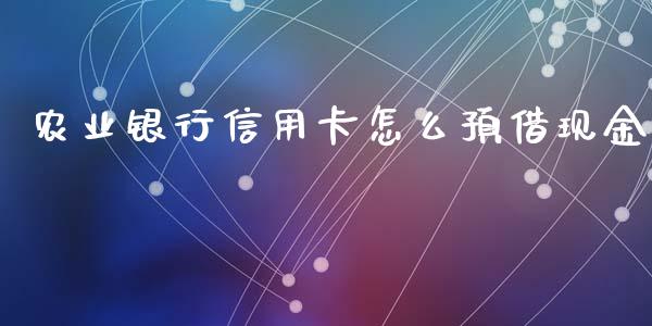 农业银行信用卡怎么预借现金_https://wap.fcdydaikuan.com_新股数据_第1张
