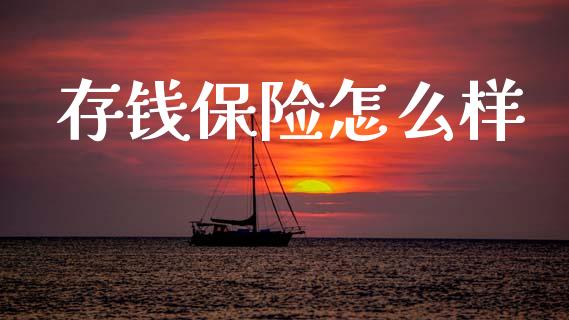 存钱保险怎么样_https://wap.fcdydaikuan.com_期货品种_第1张