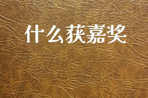 什么获嘉奖_https://wap.fcdydaikuan.com_期货品种_第1张