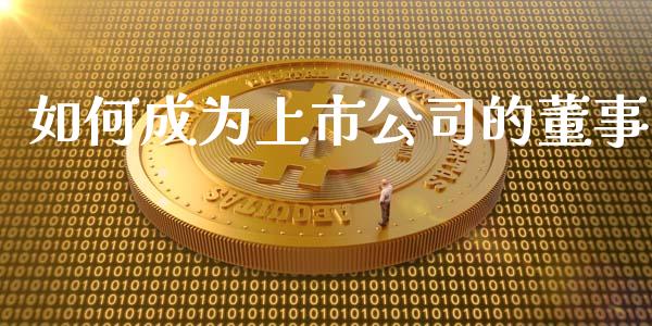 如何成为上市公司的董事_https://wap.fcdydaikuan.com_国际投资_第1张