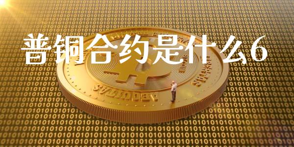 普铜合约是什么6_https://wap.fcdydaikuan.com_金融机构_第1张