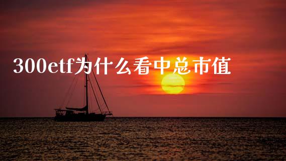 300etf为什么看中总市值_https://wap.fcdydaikuan.com_投资策略_第1张