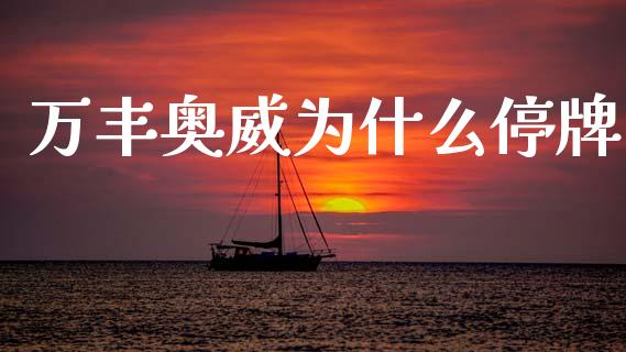 万丰奥威为什么停牌_https://wap.fcdydaikuan.com_金融机构_第1张