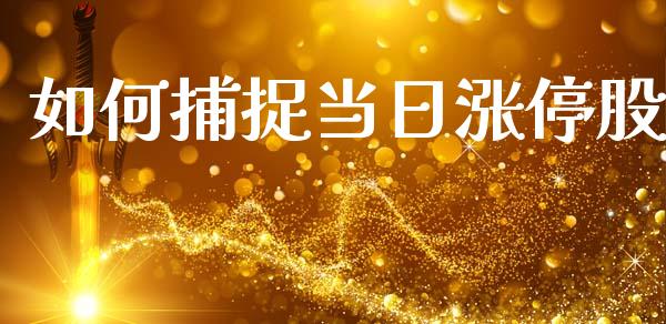 如何捕捉当日涨停股_https://wap.fcdydaikuan.com_金融机构_第1张