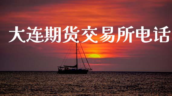 大连期货交易所电话_https://wap.fcdydaikuan.com_新股数据_第1张