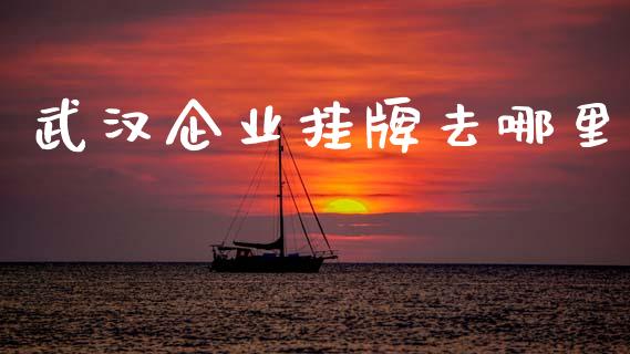 武汉企业挂牌去哪里_https://wap.fcdydaikuan.com_国际投资_第1张