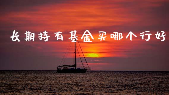长期持有基金买哪个行好_https://wap.fcdydaikuan.com_国际投资_第1张