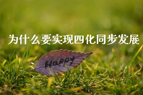 为什么要实现四化同步发展_https://wap.fcdydaikuan.com_金融机构_第1张