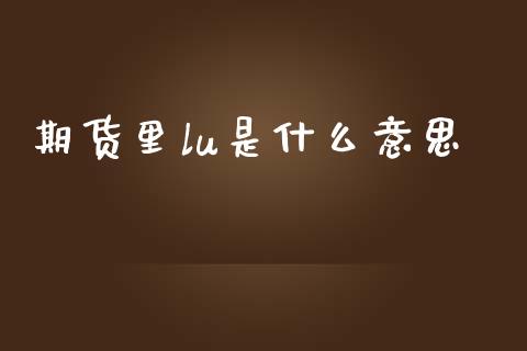 期货里lu是什么意思_https://wap.fcdydaikuan.com_金融机构_第1张