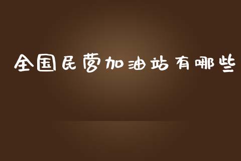 全国民营加油站有哪些_https://wap.fcdydaikuan.com_理财顾问_第1张