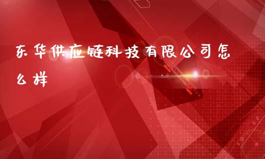 东华供应链科技有限公司怎么样_https://wap.fcdydaikuan.com_理财顾问_第1张