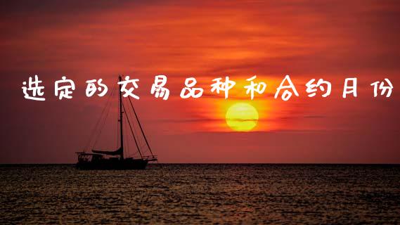 选定的交易品种和合约月份_https://wap.fcdydaikuan.com_国际投资_第1张