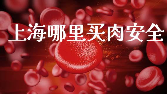 上海哪里买肉安全_https://wap.fcdydaikuan.com_新股数据_第1张
