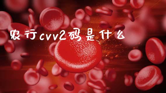 农行cvv2码是什么_https://wap.fcdydaikuan.com_国际投资_第1张