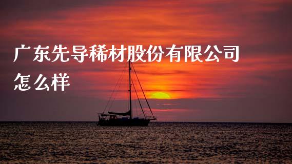 广东先导稀材股份有限公司怎么样_https://wap.fcdydaikuan.com_理财顾问_第1张