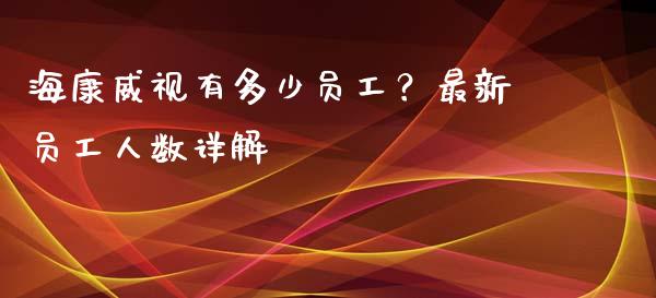 海康威视有多少员工？最新员工人数详解_https://wap.fcdydaikuan.com_期货品种_第1张