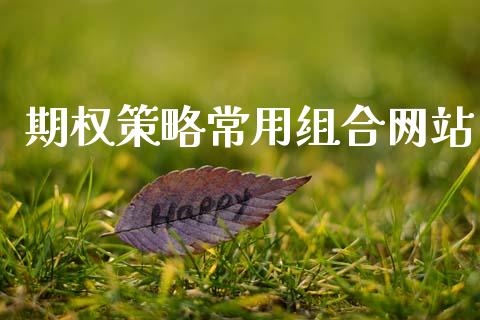 期权策略常用组合网站_https://wap.fcdydaikuan.com_国际投资_第1张