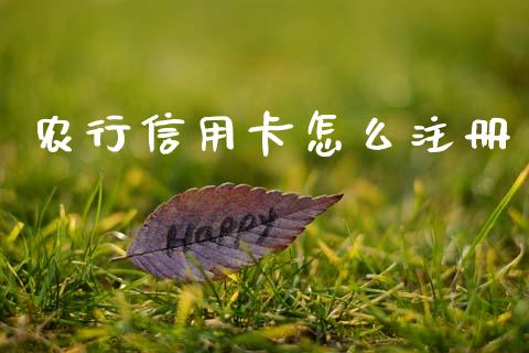农行信用卡怎么注册_https://wap.fcdydaikuan.com_国际投资_第1张