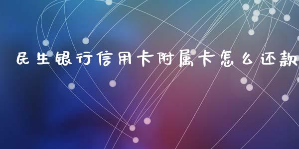 民生银行信用卡附属卡怎么还款_https://wap.fcdydaikuan.com_国际投资_第1张