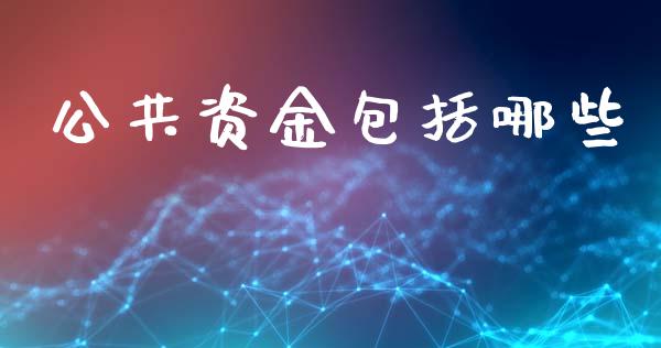 公共资金包括哪些_https://wap.fcdydaikuan.com_期货品种_第1张