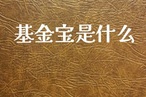 基金宝是什么_https://wap.fcdydaikuan.com_金融机构_第1张