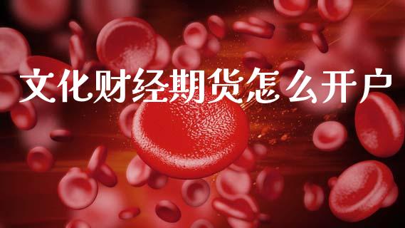 文化财经期货怎么开户_https://wap.fcdydaikuan.com_期货品种_第1张