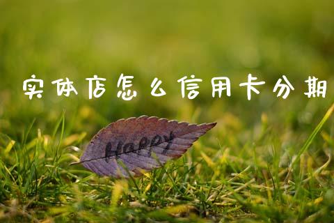 实体店怎么信用卡分期_https://wap.fcdydaikuan.com_金融机构_第1张