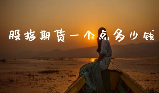 股指期货一个点多少钱_https://wap.fcdydaikuan.com_新股数据_第1张
