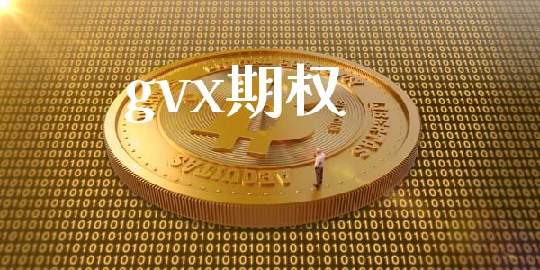 gvx期权_https://wap.fcdydaikuan.com_理财顾问_第1张