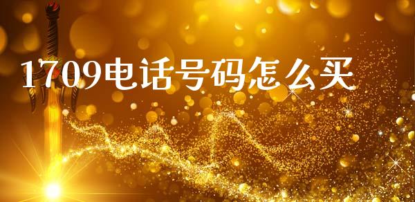 1709电话号码怎么买_https://wap.fcdydaikuan.com_金融机构_第1张