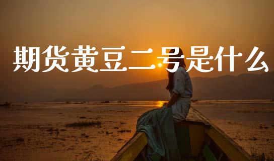期货黄豆二号是什么_https://wap.fcdydaikuan.com_金融机构_第1张