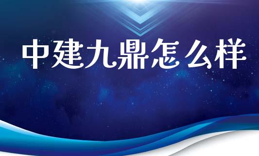 中建九鼎怎么样_https://wap.fcdydaikuan.com_期货品种_第1张