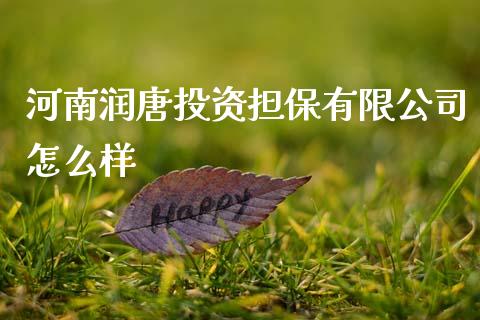 河南润唐投资担保有限公司怎么样_https://wap.fcdydaikuan.com_期货品种_第1张